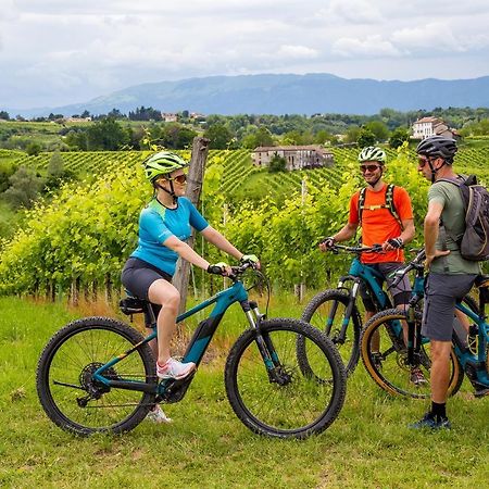 Agriturismo Vidalli Colvidor Екстериор снимка