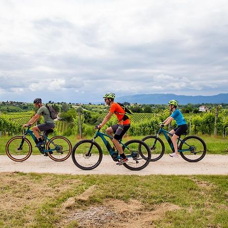 Agriturismo Vidalli Colvidor Екстериор снимка
